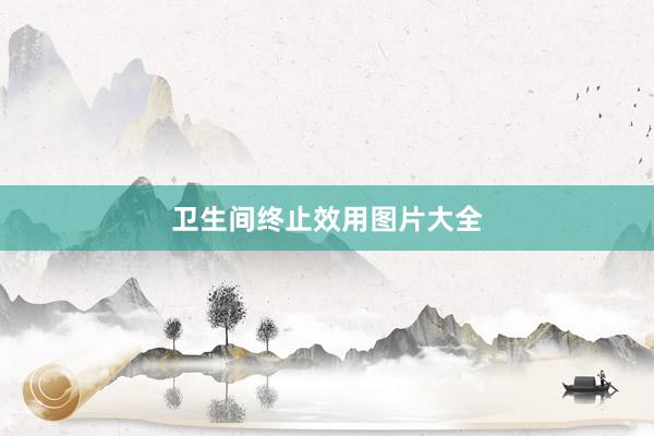 卫生间终止效用图片大全