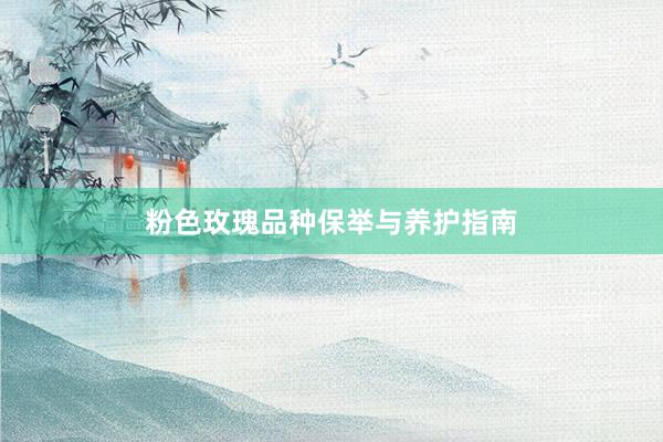 粉色玫瑰品种保举与养护指南
