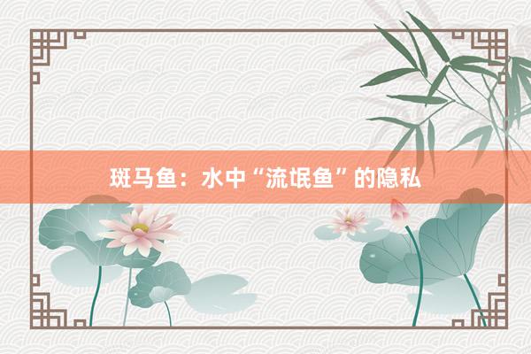 斑马鱼：水中“流氓鱼”的隐私