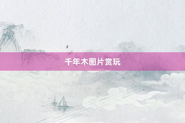 千年木图片赏玩