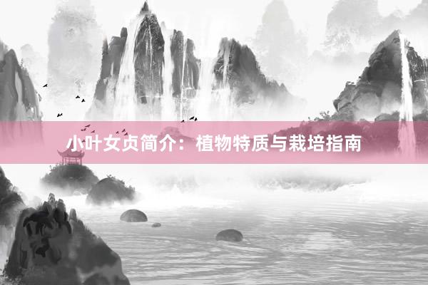 小叶女贞简介：植物特质与栽培指南